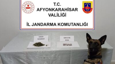 AFYONKARAHİSAR’DA JANDARMA TARAFINDAN DURDURULAN BİR ARAÇTA YAPILAN ARAMADA FARKLI TÜRLERDE