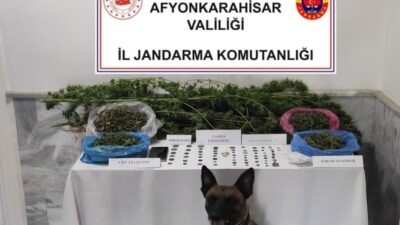 AFYONKARAHİSAR’DA JANDARMA TARAFINDAN GERÇEKLEŞTİRİLEN OPERASYONDA 2 BİN 130 KÖK KENEVİR