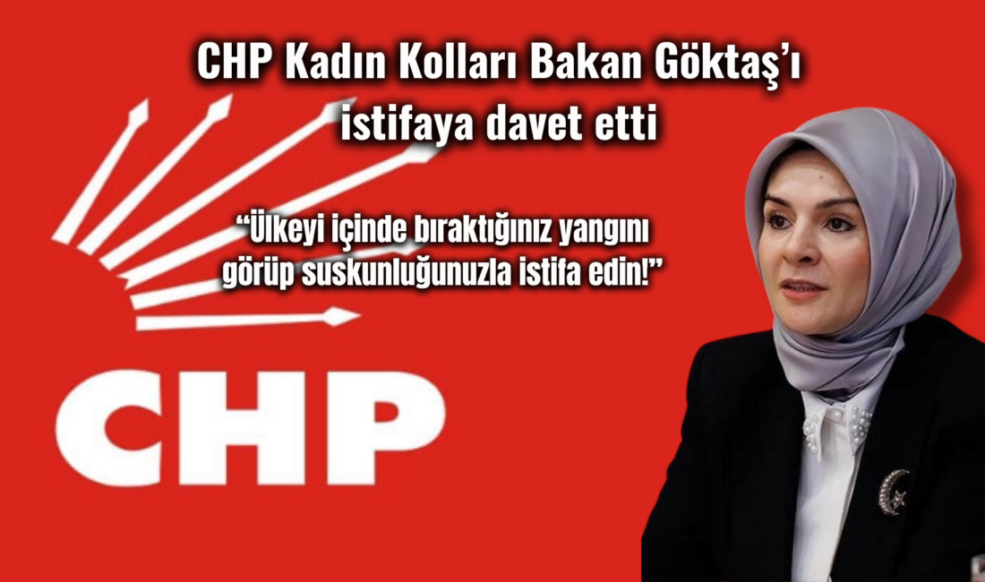 Cumhuriyet halk Partisi (CHP)