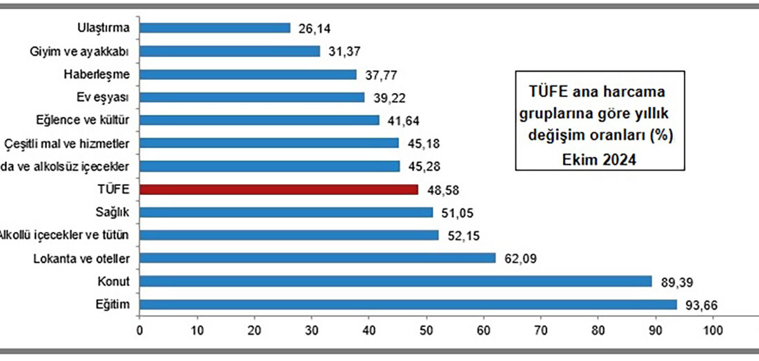 Türkiye İstatistik Kurumu (TÜİK)