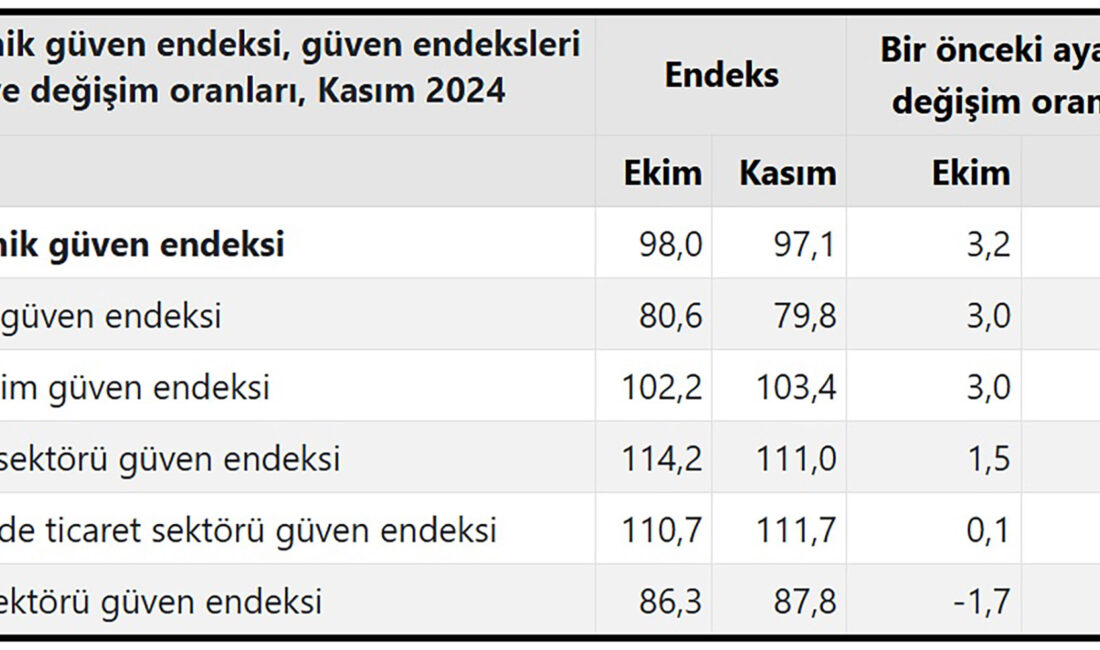 Türkiye İstatistik Kurumu (TÜİK)