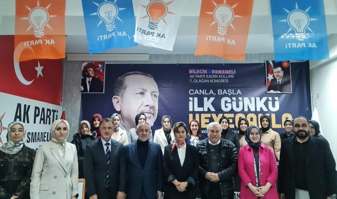 AK Parti Osmaneli Kadın