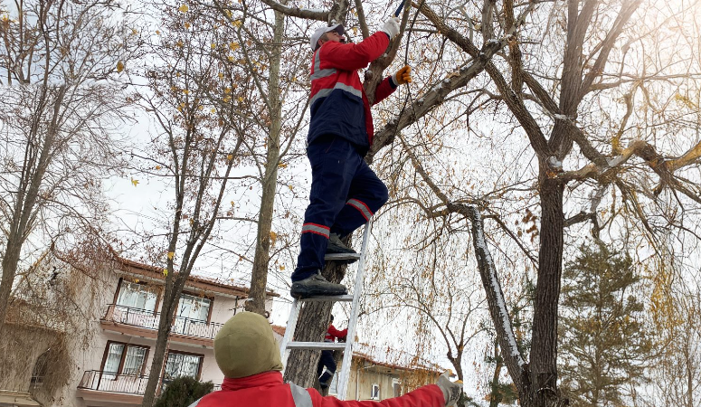 Afyonkarahisar Belediyesi Park ve