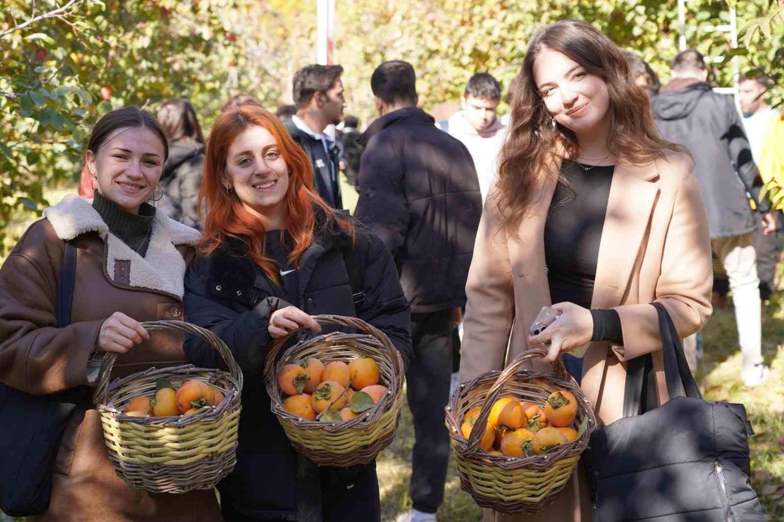 Bilecik’te 6 yıl önce deneme amaçlı dikilen hurma fideleri ilk meyvelerini verdi