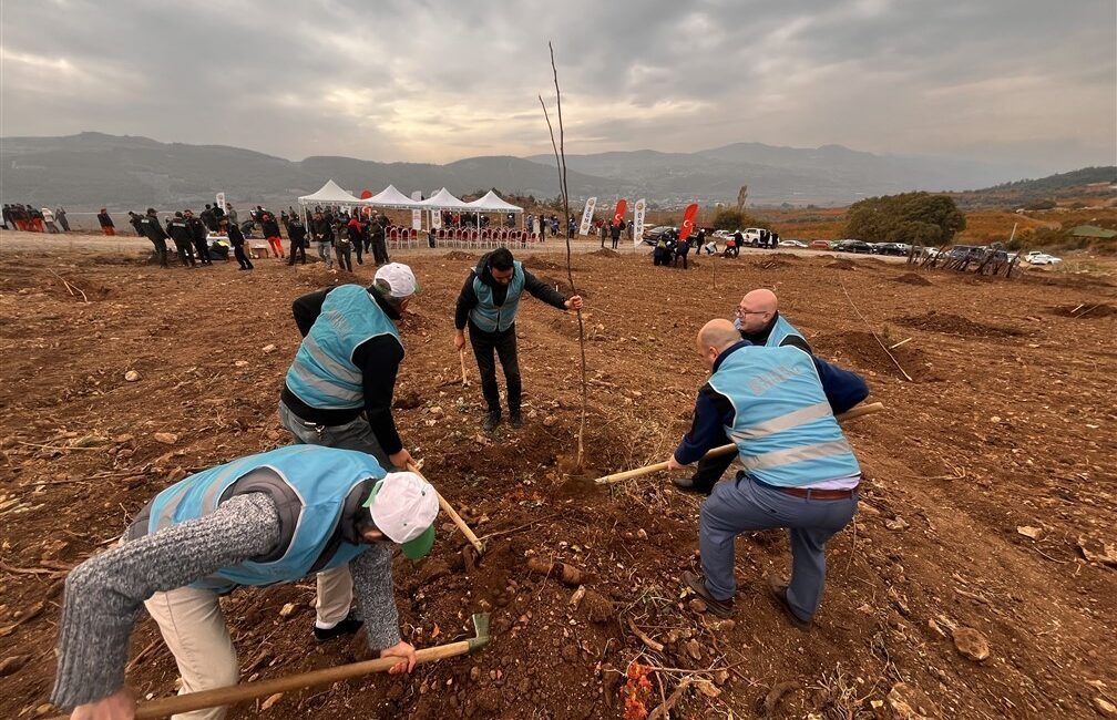 BİLECİK'TE KADER MAHKUMLARI FİDAN