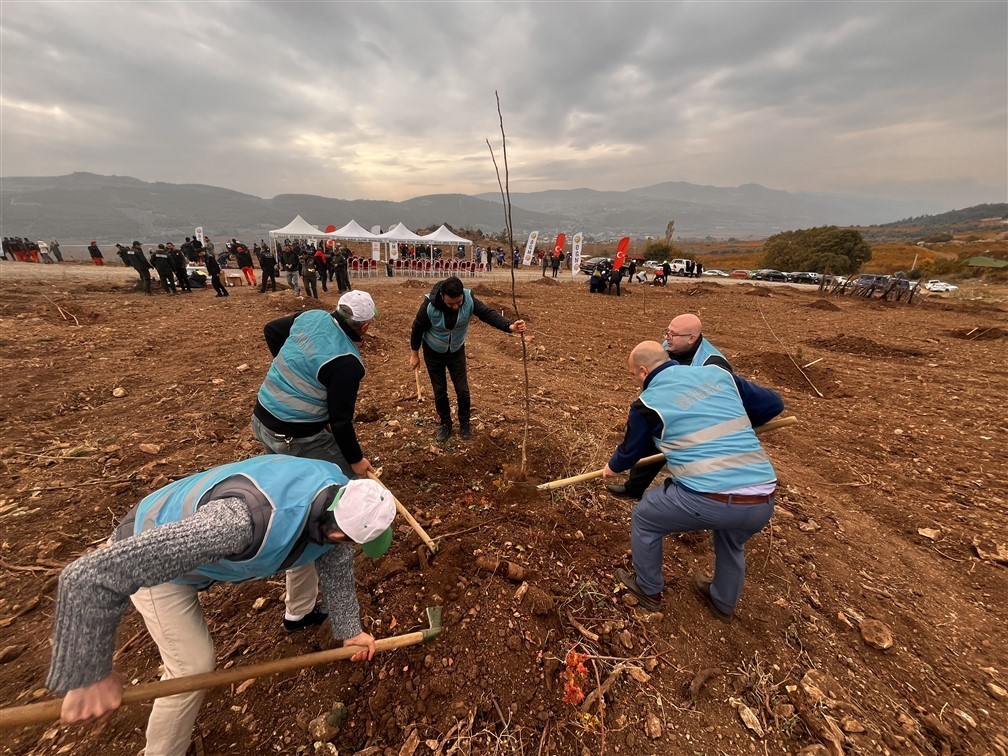 Bilecik’te mahkumlar fidan dikimine katıldı