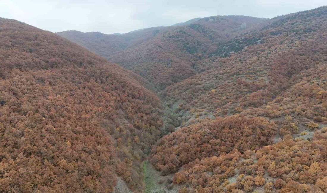 BİLECİK'TE SONBAHAR MANZARALARINI GÖRENLER