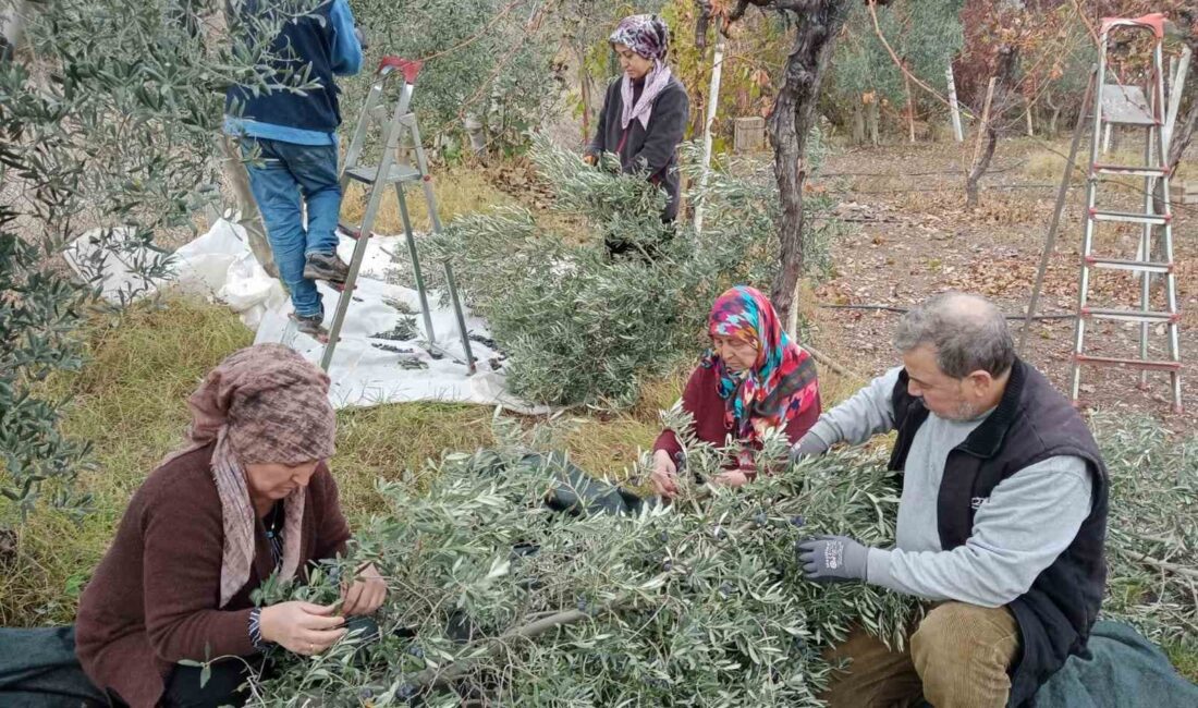 SARICAKAYA İLÇESİ LAÇİN MAHALLESİ’NDE