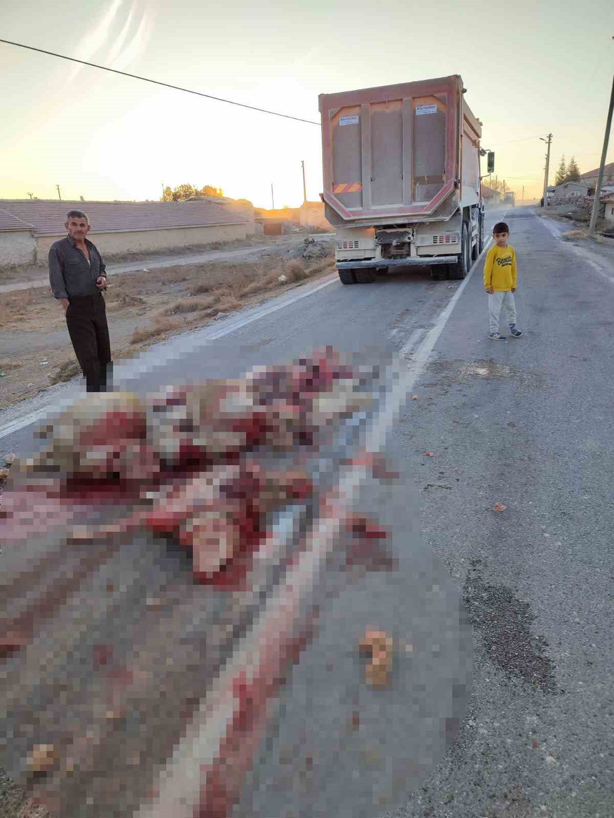 Hafriyat kamyonu sürüye çarptı, 13 koyun telef oldu