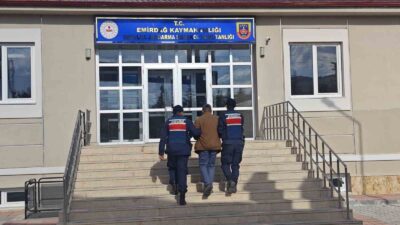 AFYONKARAHİSAR’DA BÜYÜK VE KÜÇÜKBAŞ HAYVAN HIRSIZLIĞINDAN ARANAN ŞAHIS JANDARMANIN TAKİBİ