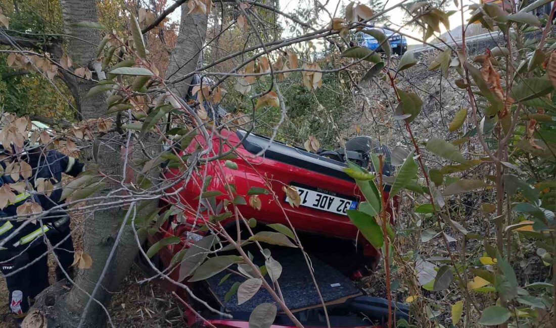 ISPARTA'DA SÜRÜCÜSÜNÜN KONTROLÜNDEN ÇIKAN