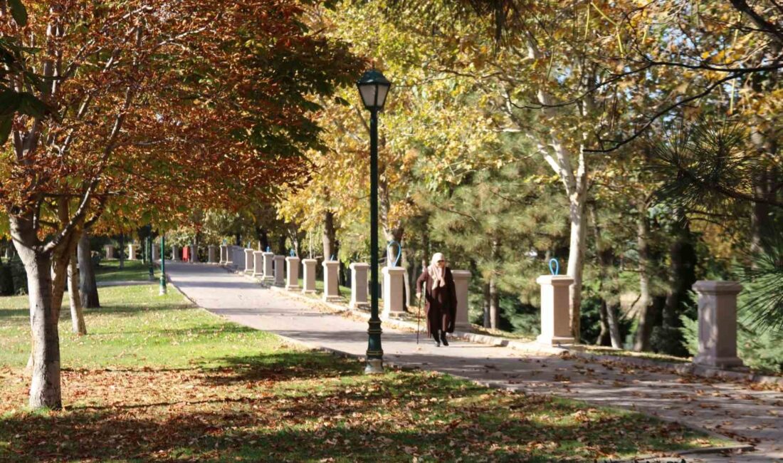 GÖKMEYDAN MAHALLESİ'NDEN GEÇEN PORSUK