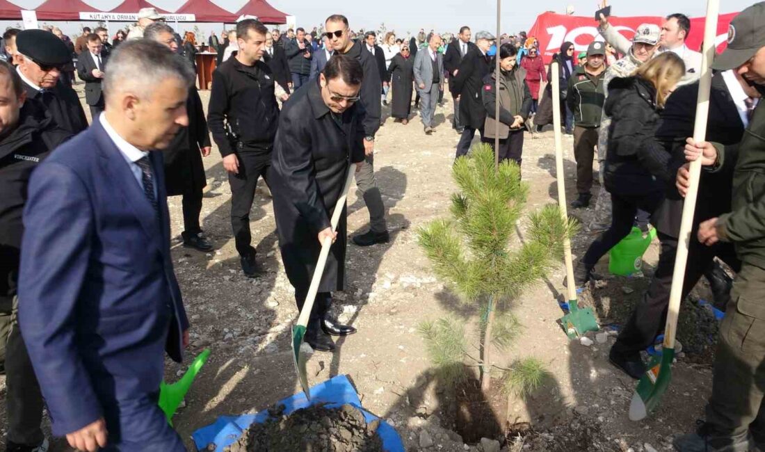 KÜTAHYA ORMAN BÖLGE MÜDÜRÜ