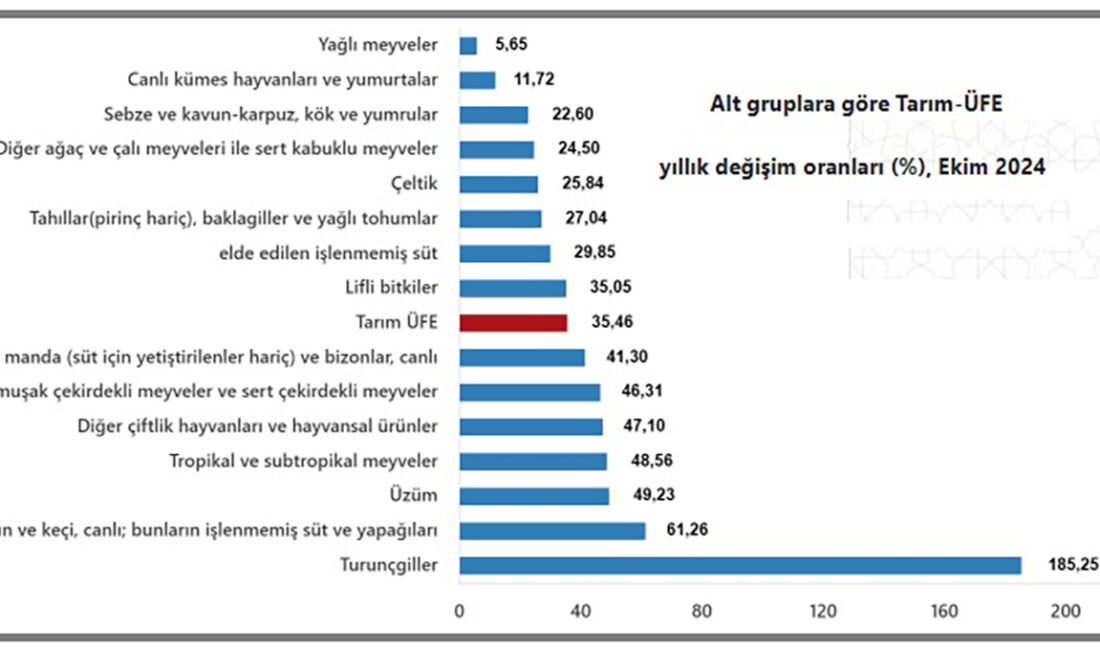 Türkiye İstatistik Kurumu ekim