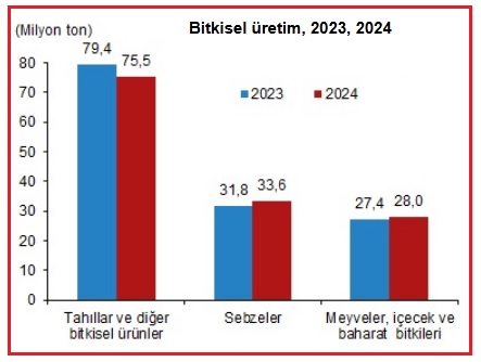 Türkiye İstatistik Kurumu (TÜİK)