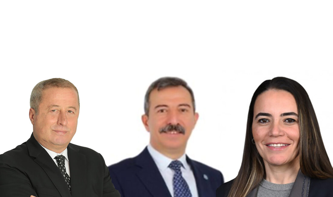 İYİ Parti Hukuk-Seçim ve