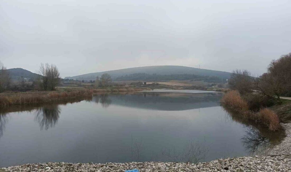 Bilecik’in Gölpazarı Kaymakamı Feyza