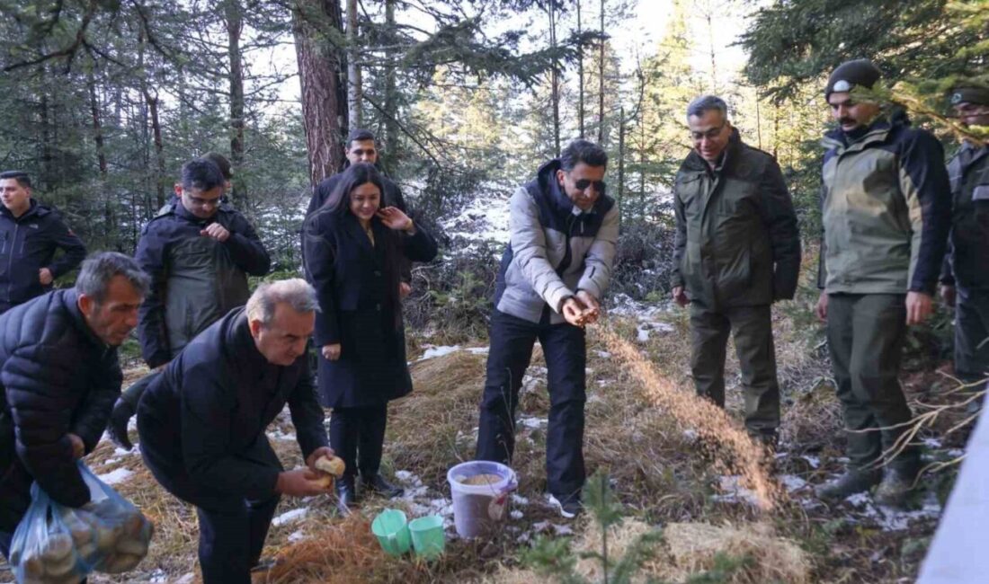 Bilecik’te Erikli Tabiat Parkı