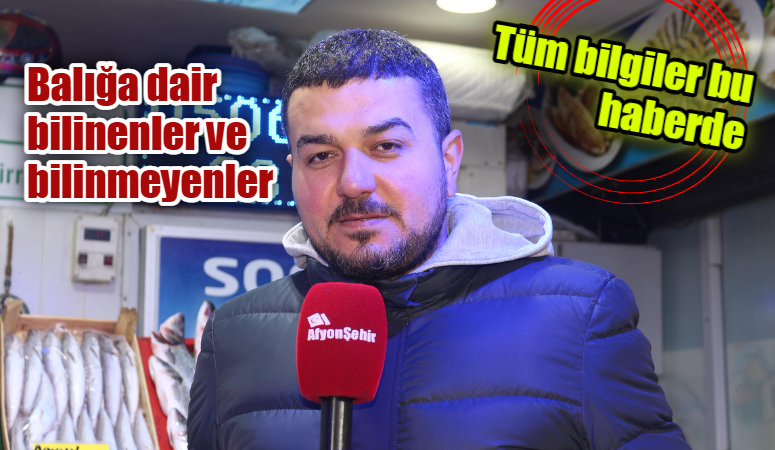 'Denizden babam çıksa yerim'