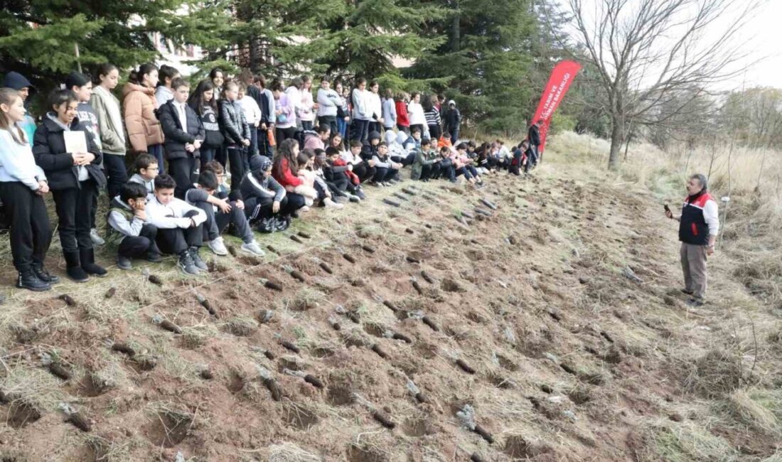 Eskişehir İl Tarım ve Orman Müdürlüğü ekipleri, 5 Aralık Dünya