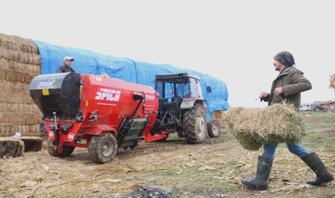 Eskişehir’de üniversiteyi bitirmesine rağmen