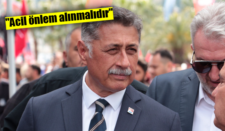 CHP PM Üyesi, Örgütlenme