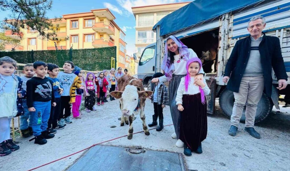 Afyonkarahisar Kocatepe İlkokulu’nda Yerli