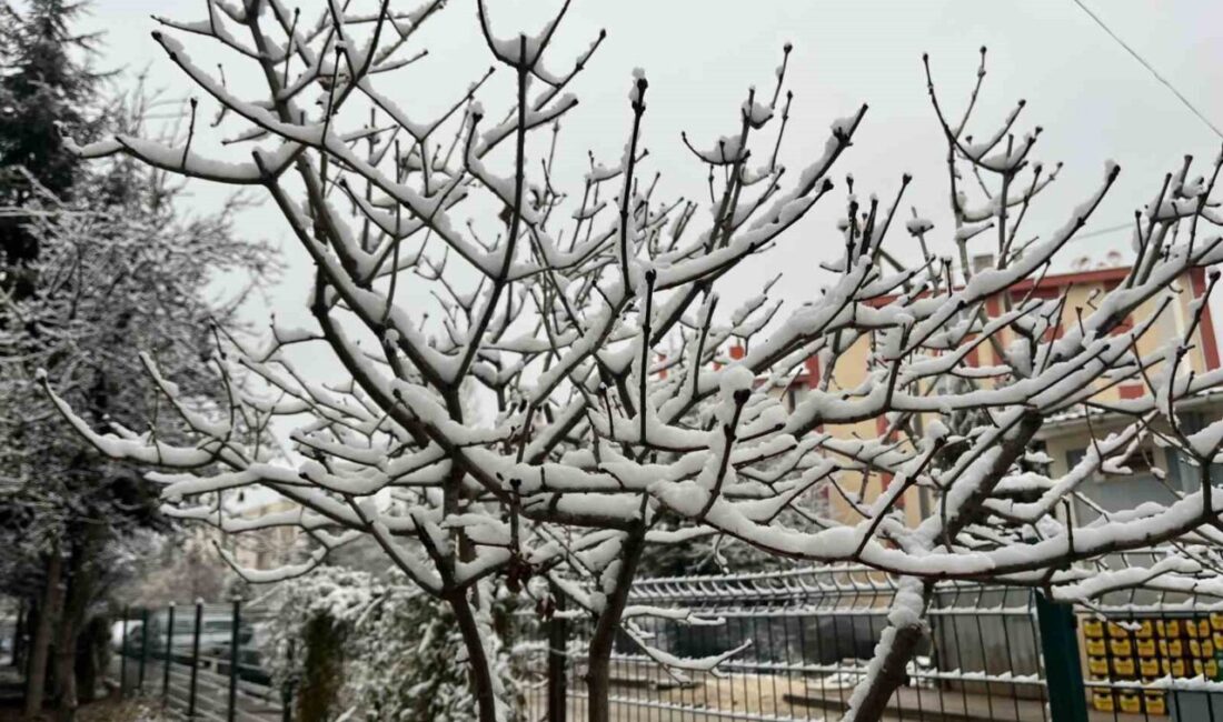 Eskişehir’de akşam saatlerinde özellikle