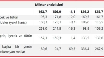 TÜİK verilerine göre, ihracat birim değer endeksi Kasım ayında bir