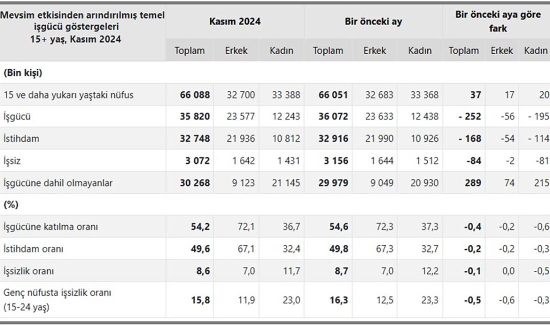 TÜİK verilerine göre, 2024 yılı Kasım ayında işsizlik bir önceki