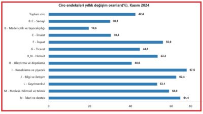 Türkiye İstatistik Kurumu’nun (TÜİK) 2024 yılının Kasım ayına ait ciro