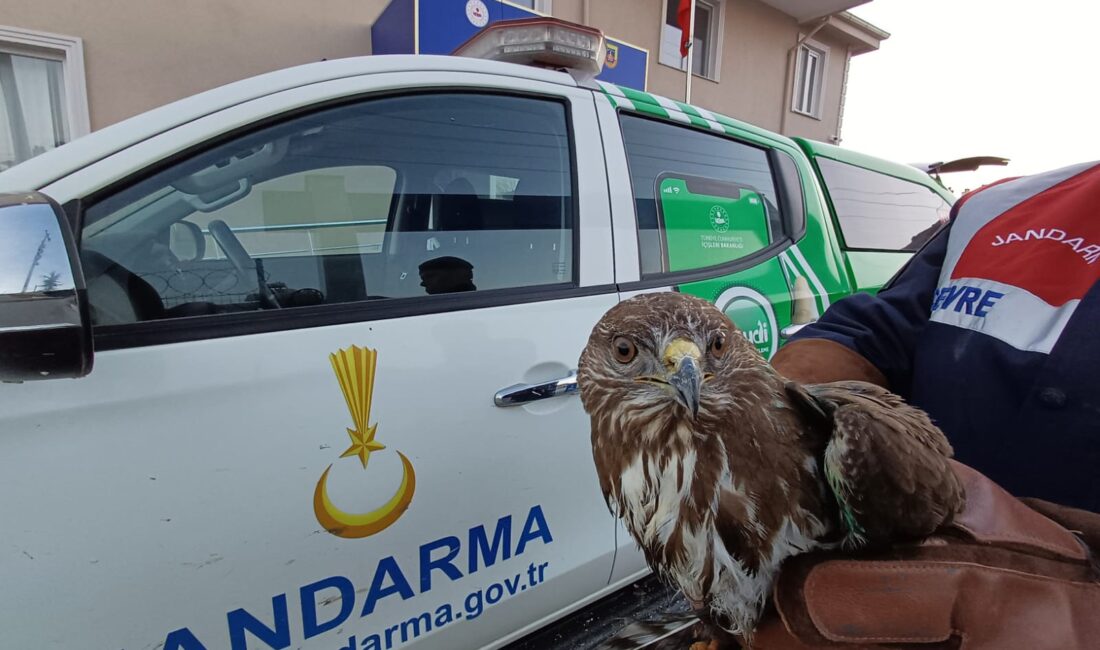 Afyonkarahisar İl Jandarma Komutanlığı Çevre, Doğa ve Hayvanları Koruma timleri