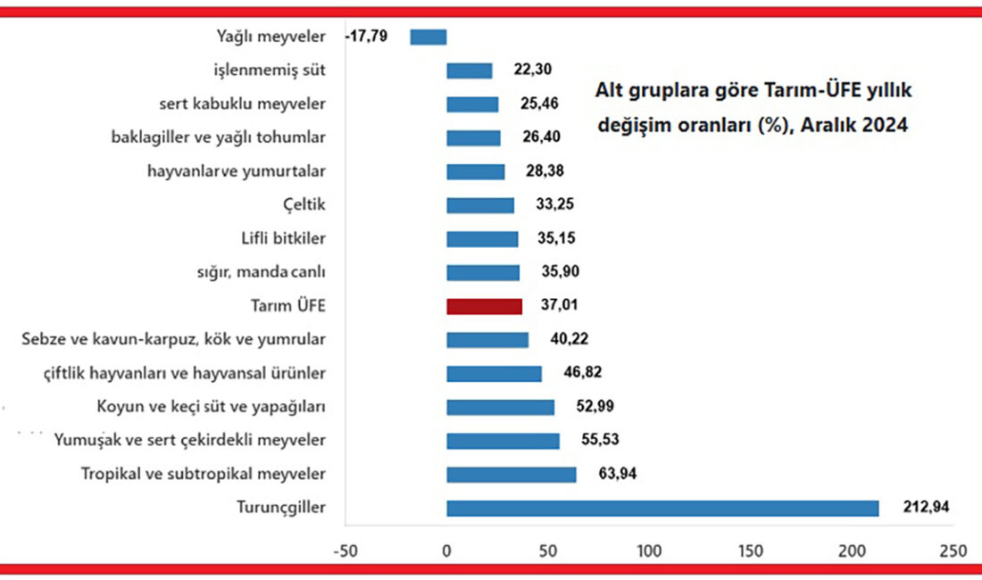 Türkiye İstatistik Kurumu (TÜİK), aralık ayı tarım ürünleri üretici fiyat