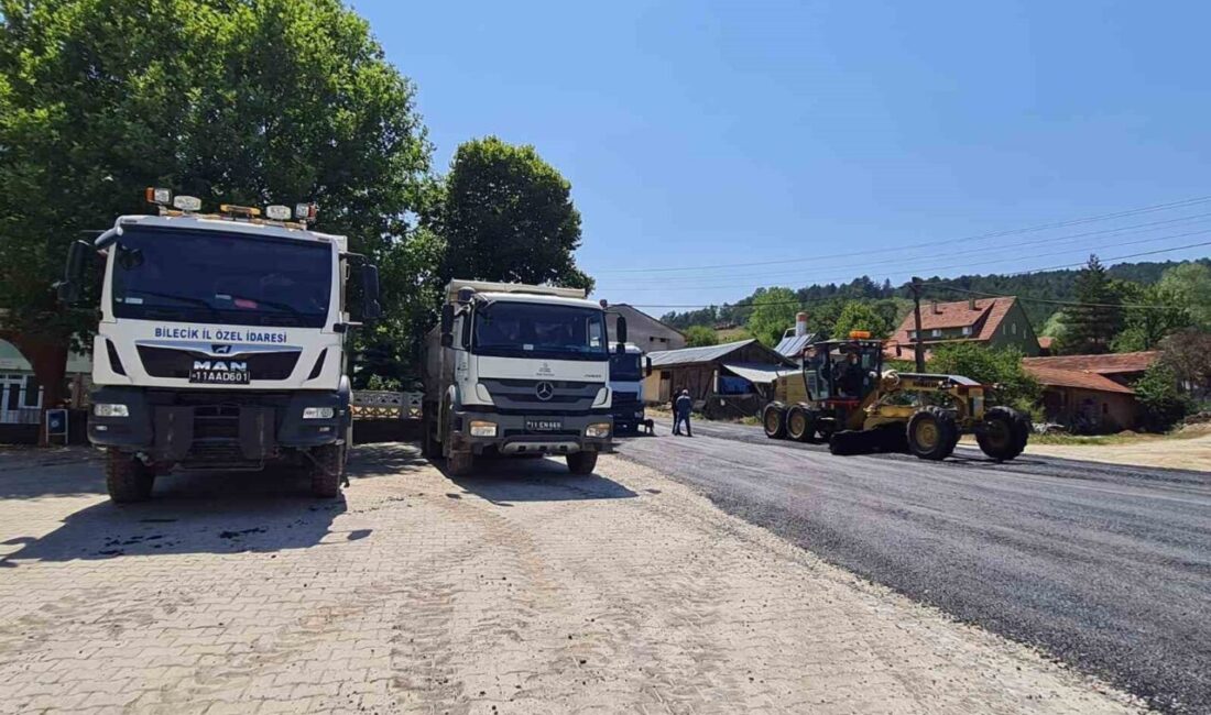 Bilecik Valiliğine bağlı İl Özel İdaresi, 2024 yılında şehre toplam