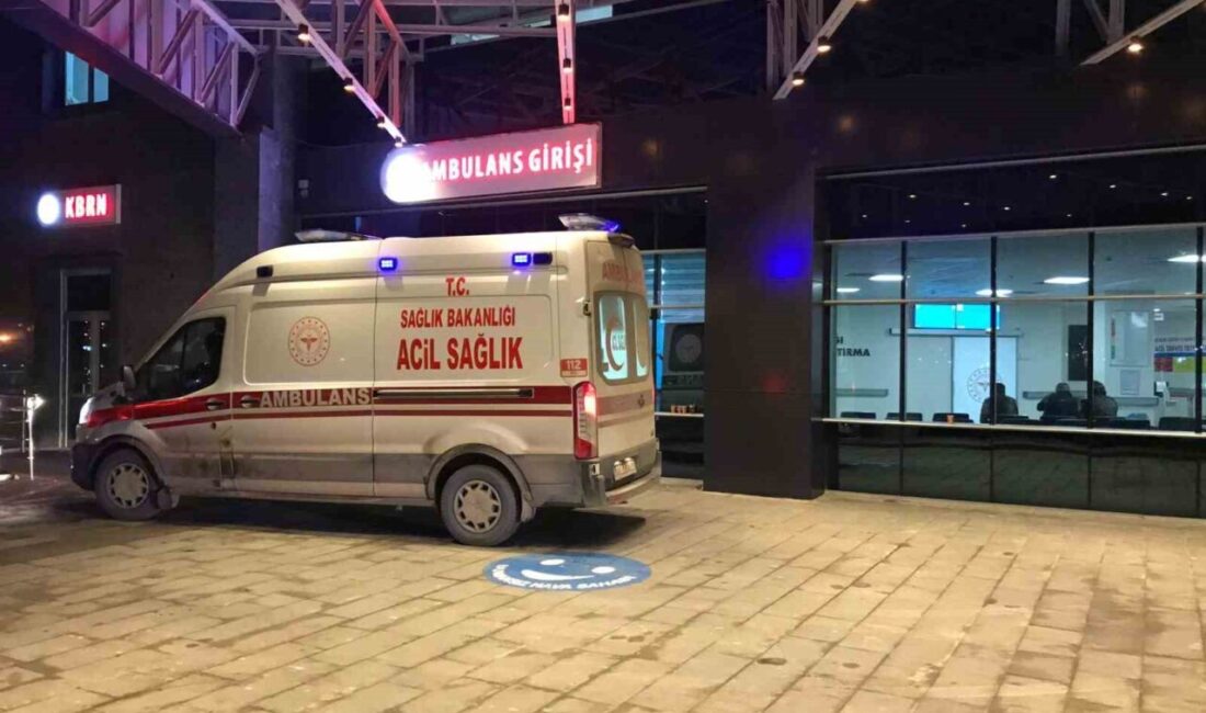 Bilecik’te seyir halinde kontrolden çıkan otomobil önce orta refüje, ardından