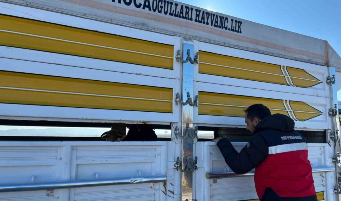 Kütahya’nın Çavdarhisar ilçesinde İlçe Tarım ve Orman Müdürlüğü ile İlçe