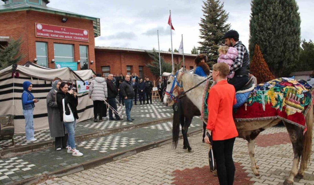 Kütahya Dumlupınar Üniversitesi Domaniç Hayme Ana Meslek Yüksekokulu tarafından düzenlenen