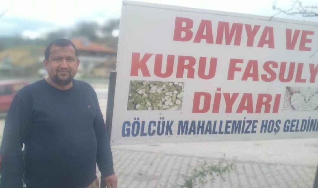 Kütahya’nın Gediz ilçesine bağlı Yenikent Beldesi Gölcük Mahallesi, haşhaş ekiminde