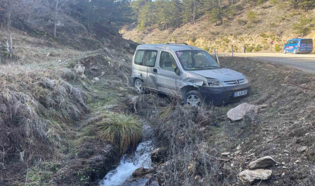 Eskişehir-Afyonkarahisar yolunda meydana gelen kazada, 26 AJN 991 plakalı hafif