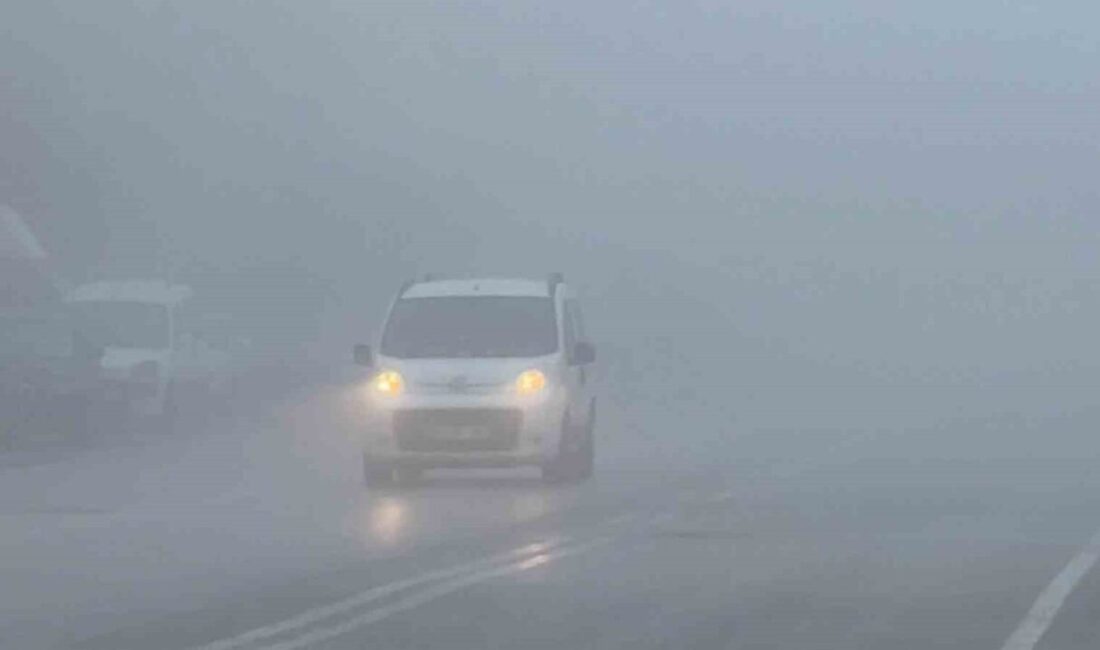 Afyonkarahisar’da yoğun sisli hava yaşamı olumsuz etkiledi. Afyonkarahisar’da sabah saatleri