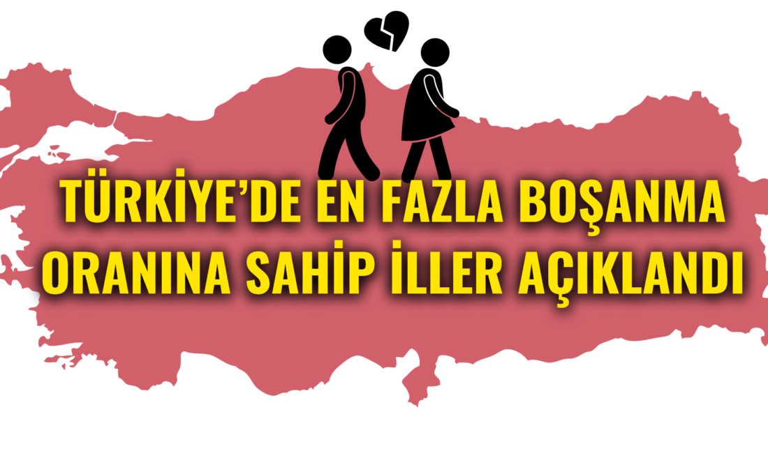 Türkiye İstatistik Kurumu (TÜİK) tarafından açıklanan verilere göre, 2025 yılı