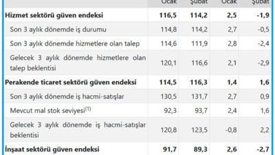 Türkiye İstatistik Kurumu (TÜİK), şubat ayına ilişkin hizmet, perakende ticaret