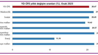 Türkiye İstatistik Kurumu'nun (TÜİK) 2025 yılı ocak ayı verilerine göre;