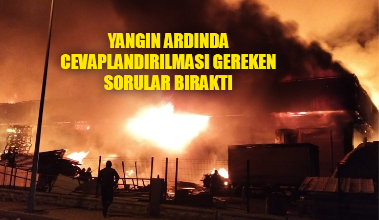 Afyon OSB’deki bir orman ürünleri fabrikasında çıkan yangında bina ve