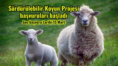 Afyonkarahisar’da sürdürülebilir küçükbaş hayvancılığı desteklemek amacıyla başlatılan Sürdürülebilir Koyun Projesi’nin