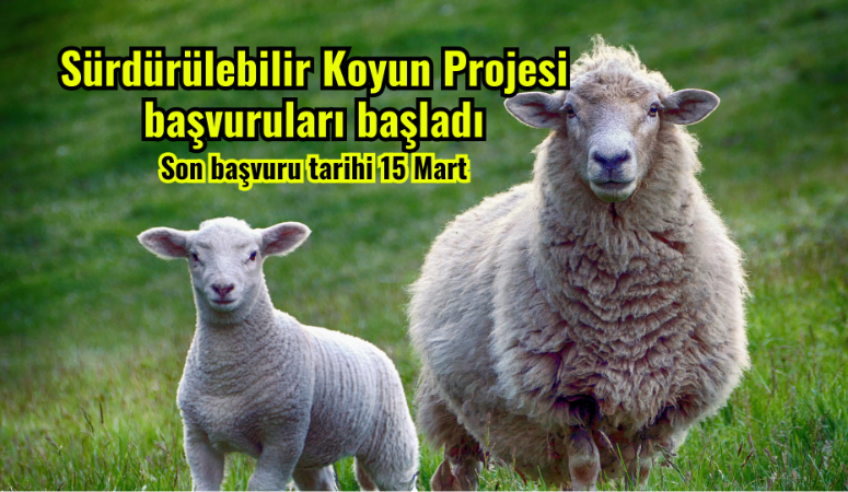 Afyonkarahisar’da sürdürülebilir küçükbaş hayvancılığı desteklemek amacıyla başlatılan Sürdürülebilir Koyun Projesi’nin