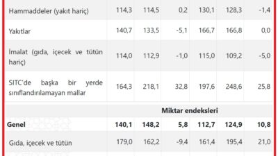 TÜİK verilerine göre, ihracat birim değer endeksi Ocak ayında bir