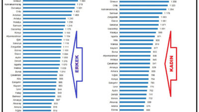 TÜİK Tarımsal İşletme İşgücü Ücret Yapısı verilerine göre, geçen yıl