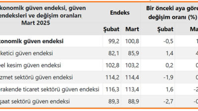 Türkiye İstatistik Kurumu (TÜİK) mart ayına yönelik ekonomik güven endeksi