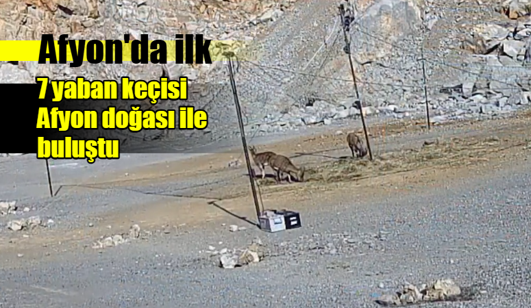 DOĞAL YAŞAM İÇİN YENİ ADIMDoğa Koruma ve Milli Parklar 5.